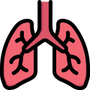 Promotes Nerve Repair & Regeneration